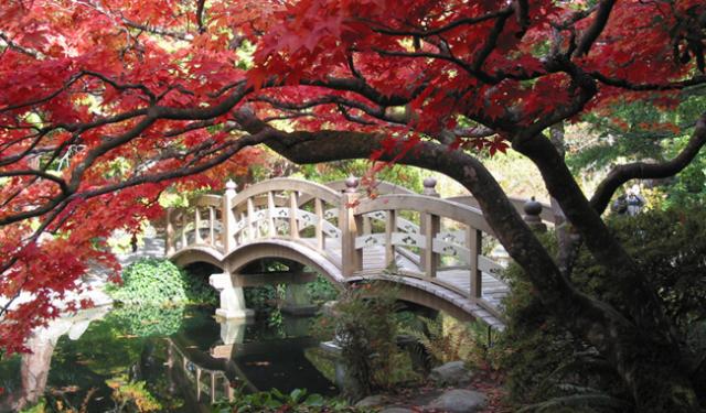 japanese garden bridge preview