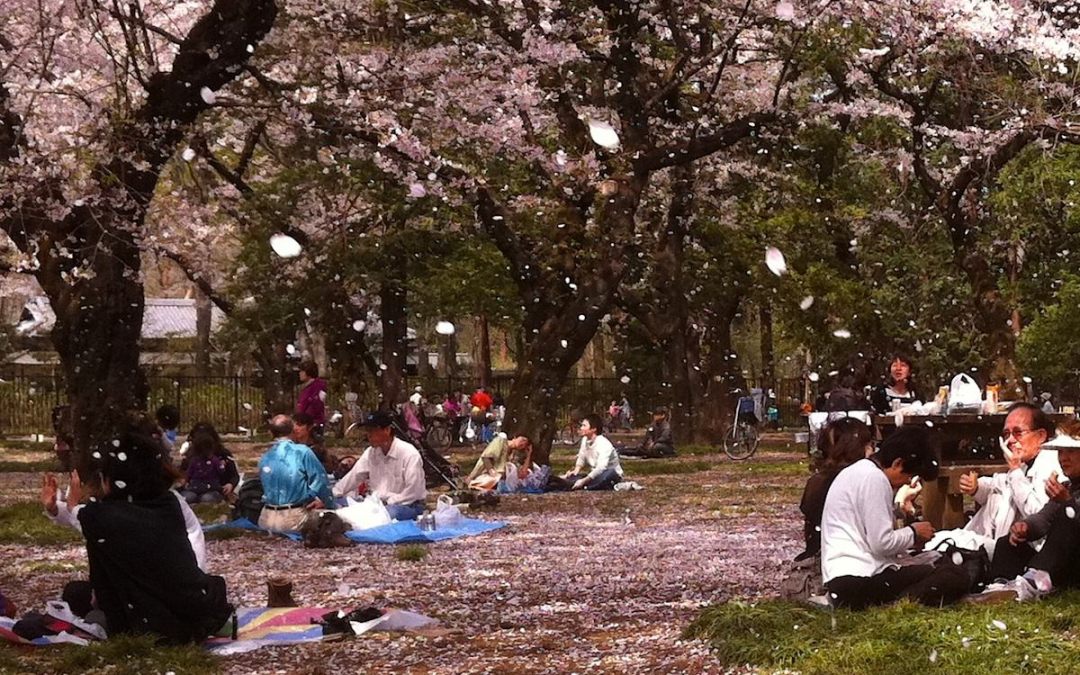 El día de la Madre en Japón (Haha no hi 母の日)